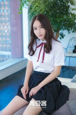 杨门女将h系列